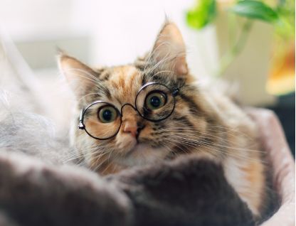 眼鏡矯正について